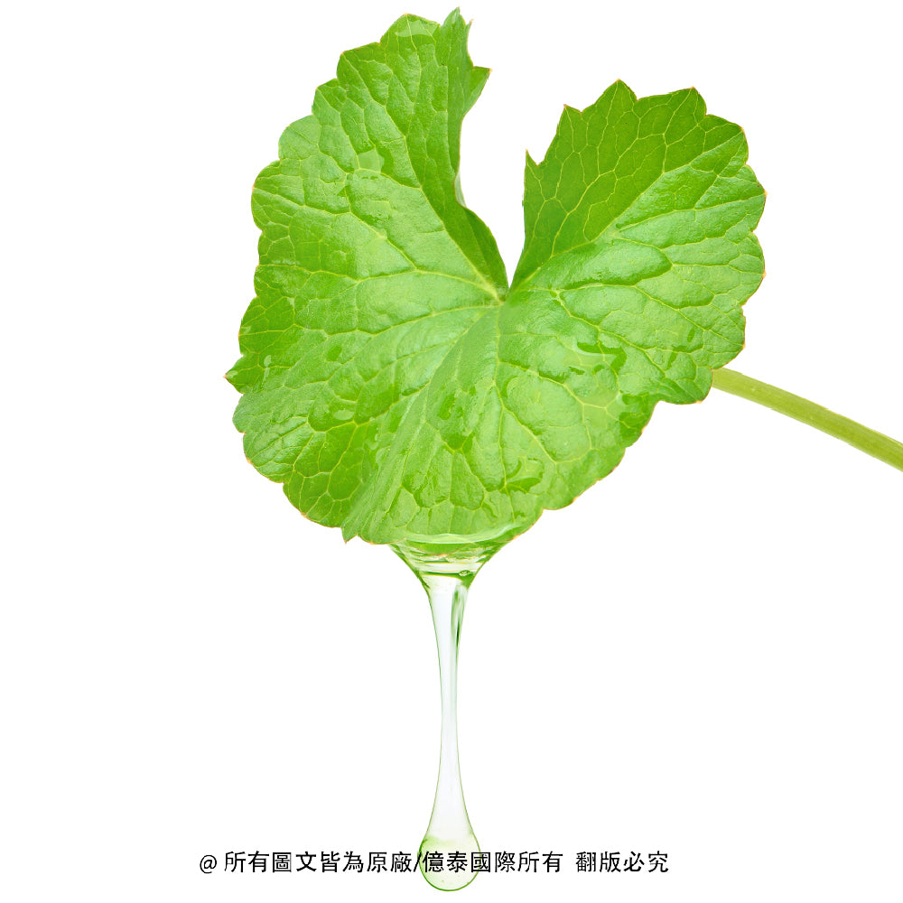 MEDIHEAL 美迪惠爾 沁潤舒緩.CICA × 茶樹雙效面膜組 (買1盒送3片)